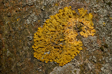 Similar image 21645688