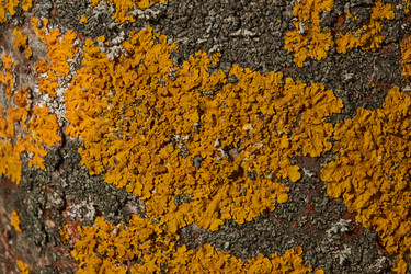 Similar image 21645691