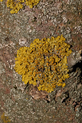 Similar image 21645692