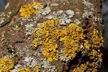 Similar image 21645694