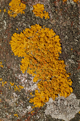 Similar image 21645695