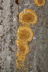 Similar image 21645696