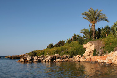 Similar image 21645697