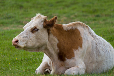 Similar image 21645713