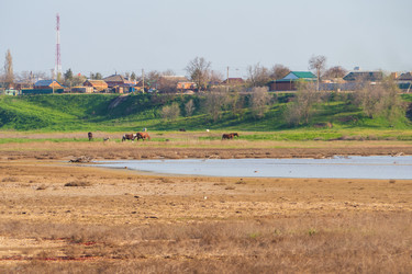 Similar image 21646269