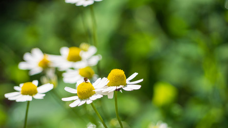 Similar image 21646270