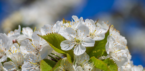 Similar image 21646274