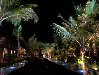 Similar image 21646383