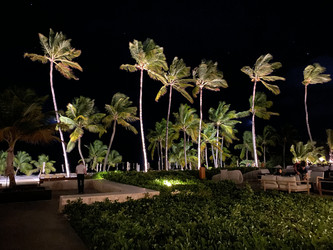 Similar image 21646391