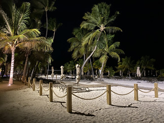 Similar image 21646392