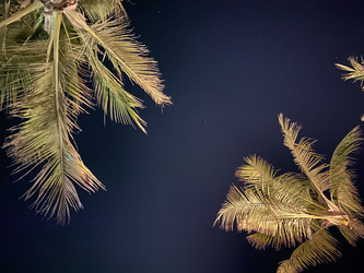 Similar image 21646395