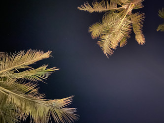 Similar image 21646397