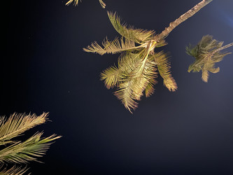 Similar image 21646398