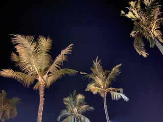 Similar image 21646400