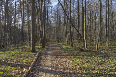 Similar image 21646404