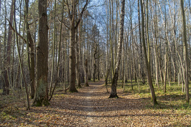 Similar image 21646405