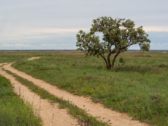 Similar image 21646407