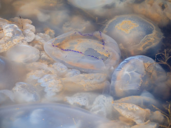 Similar image 21646408