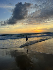 Similar image 21646557