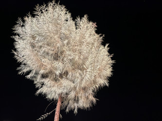 Similar image 21646558