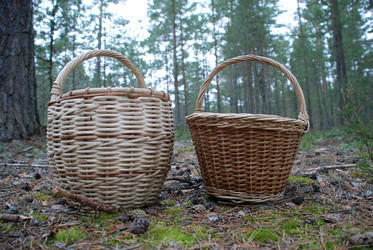 Similar image 21646587