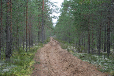 Similar image 21646588