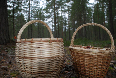 Similar image 21646589