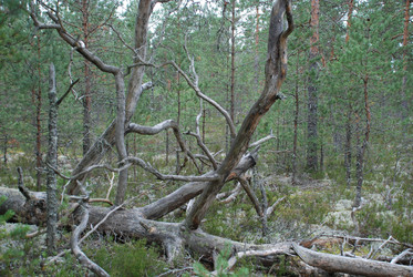 Similar image 21646592