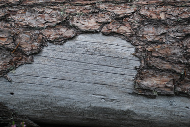 Similar image 21646593