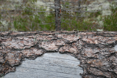 Similar image 21646594