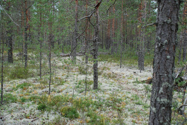 Similar image 21646597