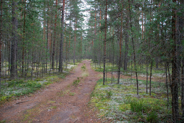 Similar image 21646598