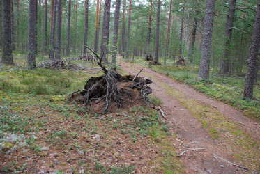 Similar image 21646599