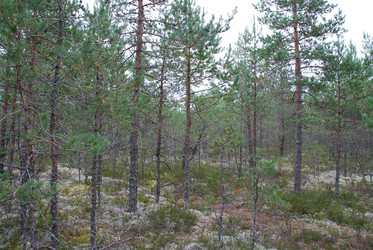 Similar image 21646602