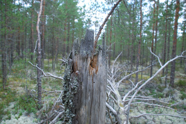 Similar image 21646603