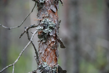 Similar image 21646604