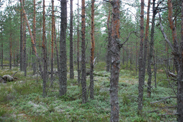 Similar image 21646605