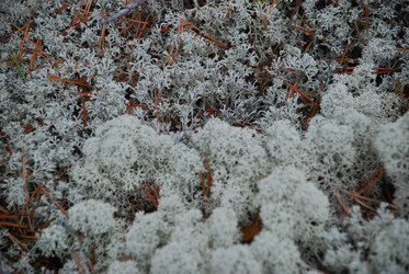 Similar image 21646606