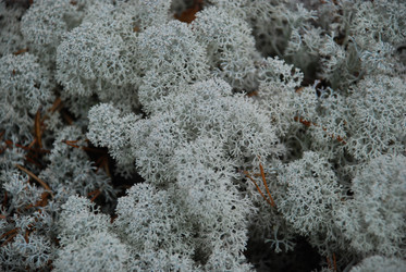 Similar image 21646607