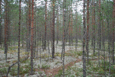 Similar image 21646608