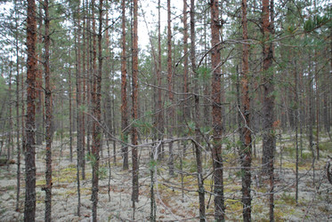 Similar image 21646609