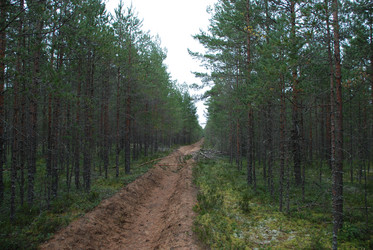 Similar image 21646610