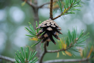 Similar image 21646611