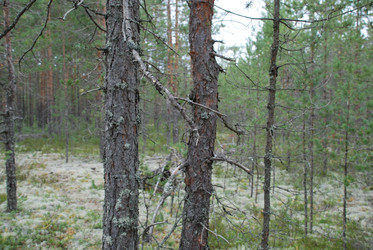 Similar image 21646614