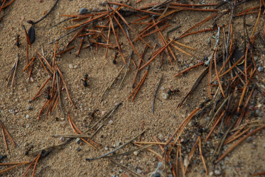 Similar image 21646615