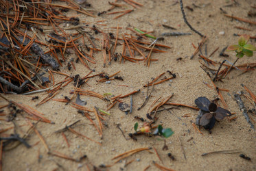 Similar image 21646617