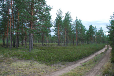 Similar image 21646619