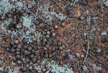 Similar image 21646620