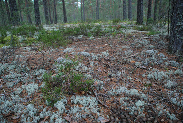 Similar image 21646621