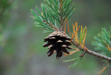 Similar image 21646625